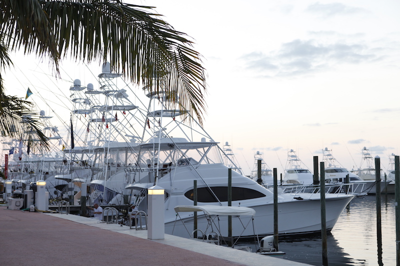 Sport fishing at Abaco Beach Resort